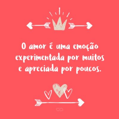 O amor é uma emoção experimentada por muitos e apreciada por poucos.