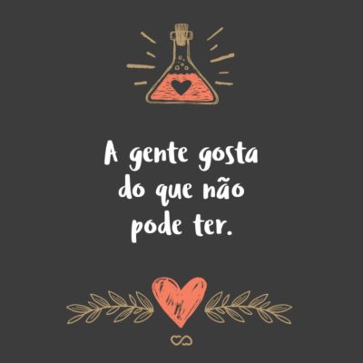 Frase de Amor - A gente gosta do que não pode ter.