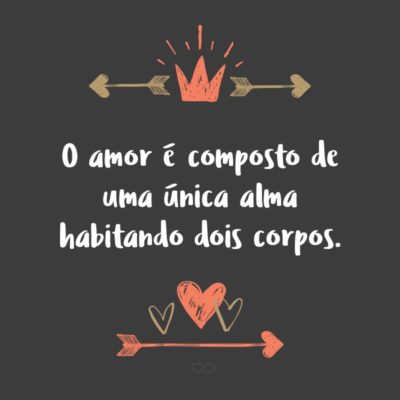 O amor é composto de uma única alma habitando dois corpos.