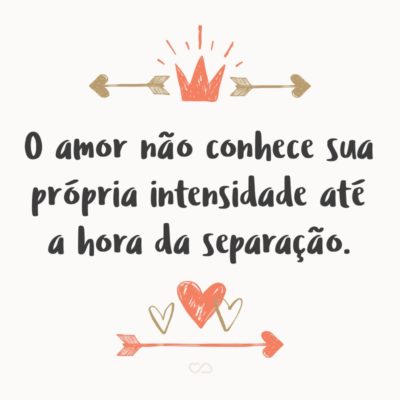 Frase de Amor - O amor não conhece sua própria intensidade até a hora da separação.