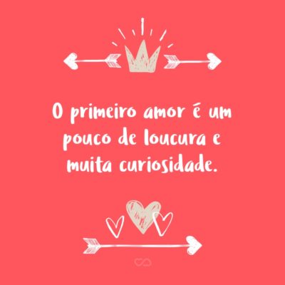 O primeiro amor é um pouco de loucura e muita curiosidade.