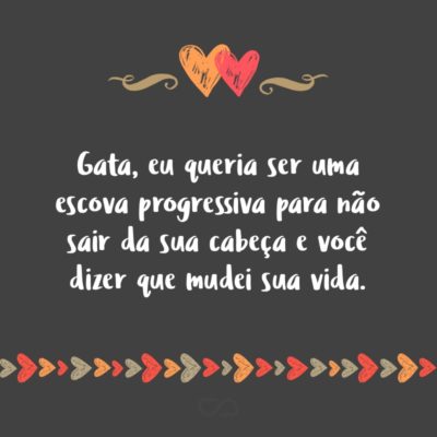 Gata, eu queria ser uma escova progressiva para não sair da sua cabeça e você dizer que mudei sua vida.