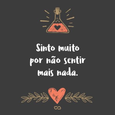 Frase de Amor - Sinto muito por não sentir mais nada.