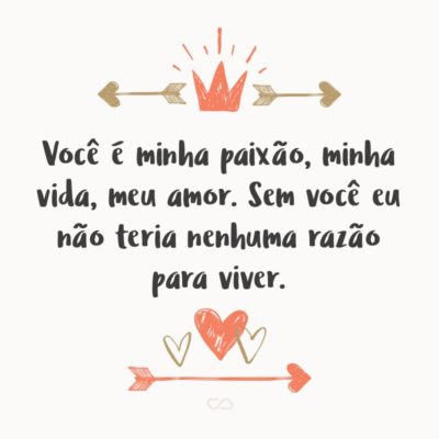 Você é minha paixão, minha vida, meu amor. Sem você eu não teria nenhuma razão para viver. Todas as estrelas do universo não poderiam substituir o que temos juntos. Agradeço o amor que temos e sua gentileza. Nunca se esqueça de mim, como eu nunca vou te esquecer.