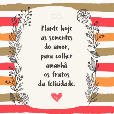 Frase de Amor - Plante hoje as sementes do amor, para colher amanhã os frutos da felicidade.