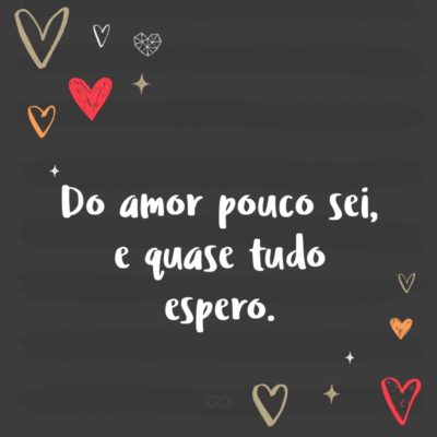 Do amor pouco sei, e quase tudo espero.