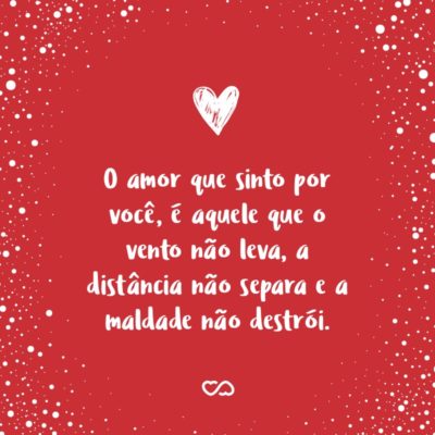 Frase de Amor - O amor que sinto por você, é aquele que o vento não leva, a distância não separa e a maldade não destrói.