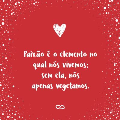 Frase de Amor - Paixão é o elemento no qual nós vivemos; sem ela, nós apenas vegetamos.