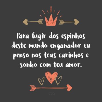 Frase de Amor - Para fugir dos espinhos deste mundo enganador eu penso nos teus carinhos e sonho com teu amor.