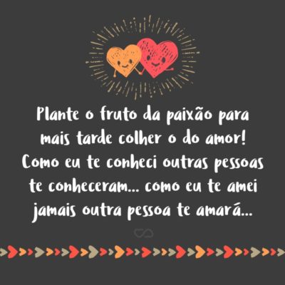 Plante o fruto da paixão para mais tarde colher o do amor! Como eu te conheci outras pessoas te conheceram… como eu te amei jamais outra pessoa te amará…