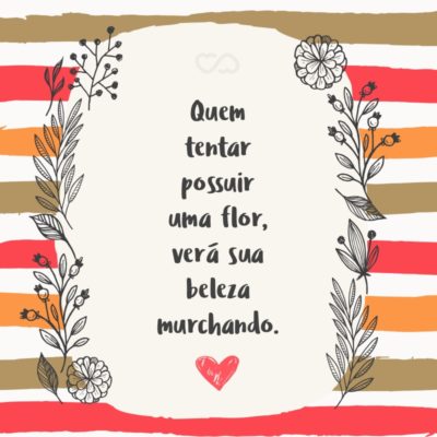 Frase de Amor - Quem tentar possuir uma flor, verá sua beleza murchando. Mas quem apenas olhar um flor num campo, permanecerá para sempre com ela. Você nunca será minha e por isso terei você para sempre.