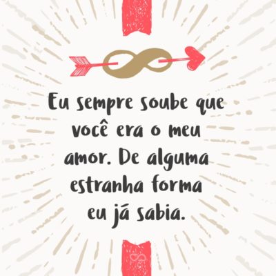 Eu sempre soube que você era o meu amor. De alguma estranha forma eu já sabia. Assim que te vi alguma coisa em mim mudou. Meu sorriso, meu jeito de mexer no cabelo, minha forma de olhar a vida. Quando a sua mão tocou meus dedos um sentimento tranquilo invadiu o meu peito. Esse mesmo...