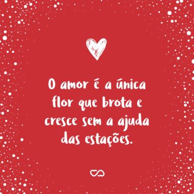 Frase de Amor - O amor é a única flor que brota e cresce sem a ajuda das estações.