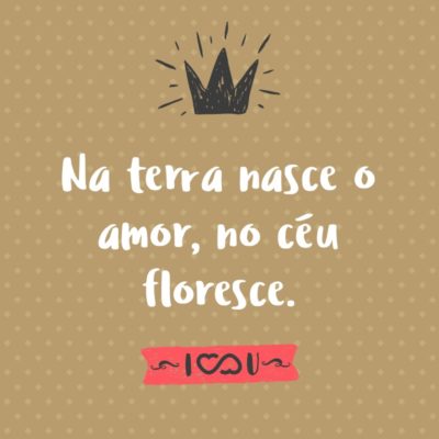 Frase de Amor - Na terra nasce o amor, no céu floresce.