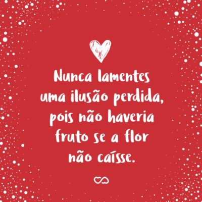 Frase de Amor - Nunca lamentes uma ilusão perdida, pois não haveria fruto se a flor não caísse.