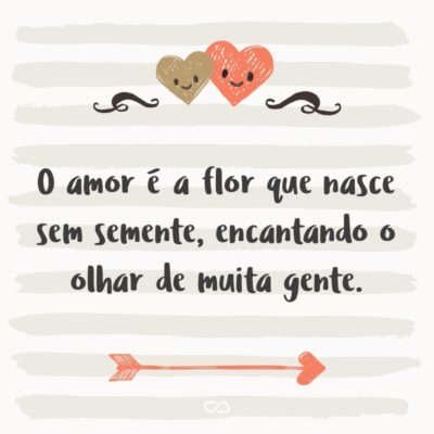 Frase de Amor - O amor é a flor que nasce sem semente, encantando o olhar de muita gente.