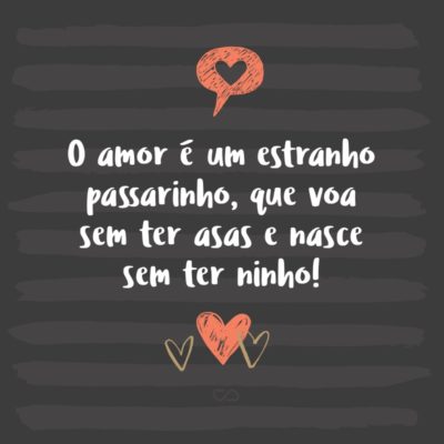 Frase de Amor - O amor é um estranho passarinho, que voa sem ter asas e nasce sem ter ninho!