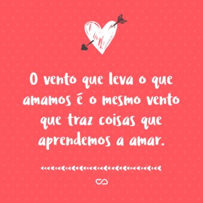 Frase de Amor - O vento que leva o que amamos é o mesmo vento que traz coisas que aprendemos a amar.