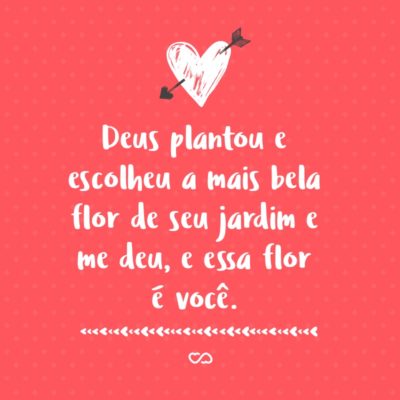 Frase de Amor - Deus plantou e escolheu a mais bela flor de seu jardim e me deu, e essa flor é você.