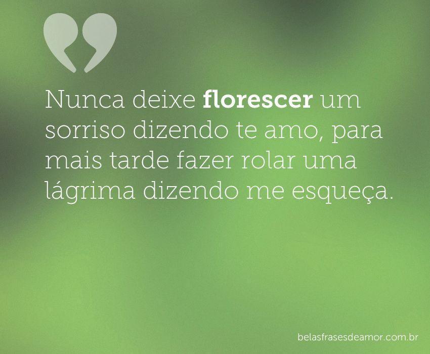 "Nunca deixe florescer um sorriso dizendo te amo, para 