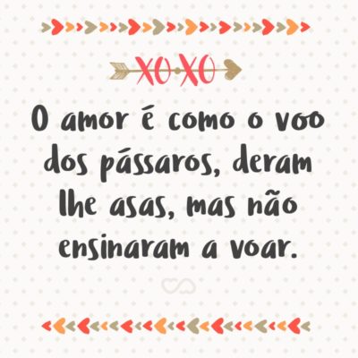 Frase de Amor - O amor é como o voo dos pássaros, deram lhe asas, mas não ensinaram a voar.