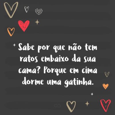 Frase de Amor - Sabe por que não tem ratos embaixo da sua cama? Porque em cima dorme uma gatinha.