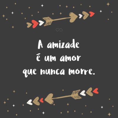 Frase de Amor - A amizade é um amor que nunca morre.