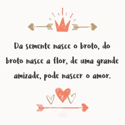 Frase de Amor - Da semente nasce o broto, do broto nasce a flor, de uma grande amizade, pode nascer o amor.