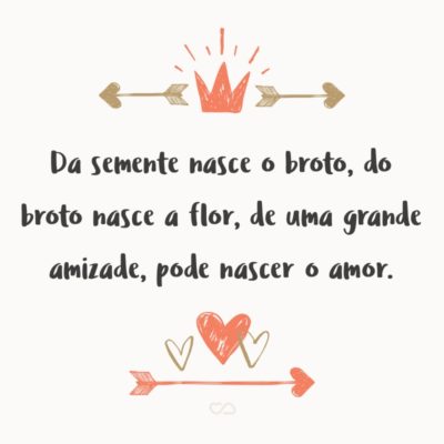 Frase de Amor - Da semente nasce o broto, do broto nasce a flor, de uma grande amizade, pode nascer o amor.