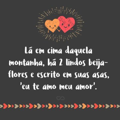 Frase de Amor - Lá em cima daquela montanha, há 2 lindos beija-flores e escrito em suas asas, ‘eu te amo meu amor’.