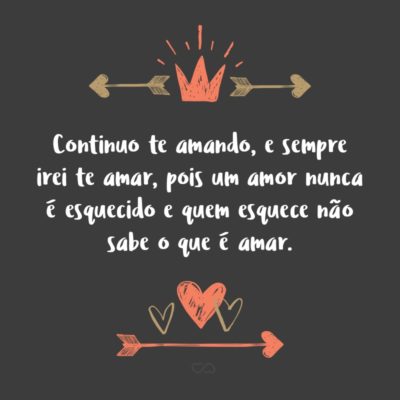 Frase de Amor - Continuo te amando, e sempre irei te amar, pois um amor nunca é esquecido e quem esquece não sabe o que é amar.