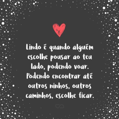 Frase de Amor - Lindo é quando alguém escolhe pousar ao teu lado, podendo voar. Podendo encontrar até outros ninhos, outros caminhos, escolhe ficar.