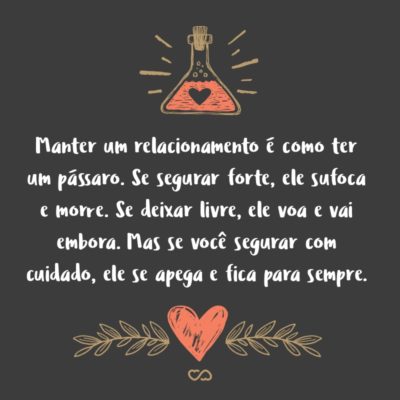 Frase de Amor - Manter um relacionamento é como ter um pássaro. Se segurar forte, ele sufoca e morre. Se deixar livre, ele voa e vai embora. Mas se você segurar com cuidado, ele se apega e fica para sempre.