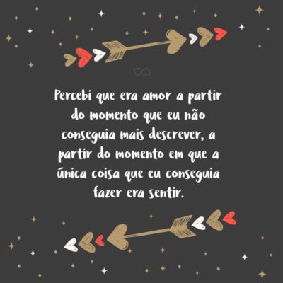 Frase de Amor - Percebi que era amor a partir do momento que eu não conseguia mais descrever, a partir do momento em que a única coisa que eu conseguia fazer era sentir.