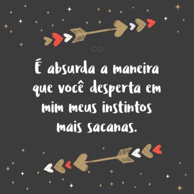 Frase de Amor - É absurda a maneira que você desperta em mim meus instintos mais sacanas.