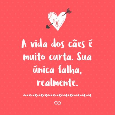 Frase de Amor - A vida dos cães é muito curta. Sua única falha, realmente.