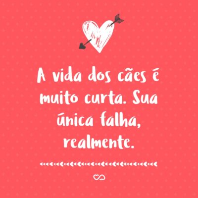 Frase de Amor - A vida dos cães é muito curta. Sua única falha, realmente.