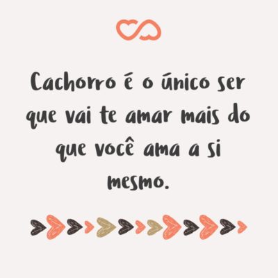 Frase de Amor - Cachorro é o único ser que vai te amar mais do que você ama a si mesmo.