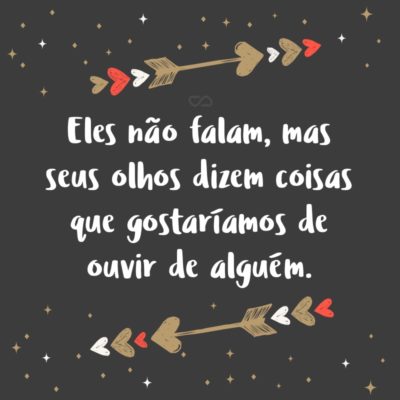 Frase de Amor - Eles não falam, mas seus olhos dizem coisas que gostaríamos de ouvir de alguém.