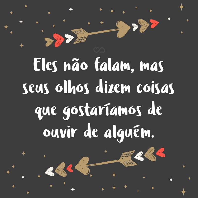 Frases de Amor para Cachorro Frases de Amor para Cachorro