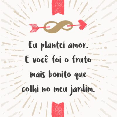 Frase de Amor - Eu plantei amor. E você foi o fruto mais bonito que colhi no meu jardim.