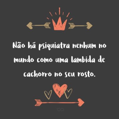 Frase de Amor - Não há psiquiatra nenhum no mundo como uma lambida de cachorro no seu rosto.