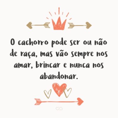 Frase de Amor - O cachorro pode ser ou não de raça, mas vão sempre nos amar, brincar e nunca nos abandonar.