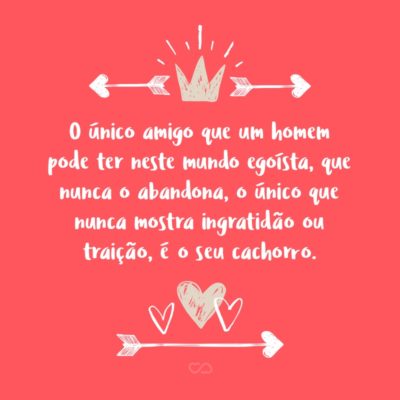 Frase de Amor - O único amigo desinteressado que um homem pode ter neste mundo egoísta, aquele que nunca o abandona, o único que nunca mostra ingratidão ou traição, é o seu cachorro.