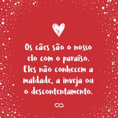 Frase de Amor - Os cães são o nosso elo com o paraíso. Eles não conhecem a maldade, a inveja ou o descontentamento. Sentar-se com um cão ao pé de uma colina numa linda tarde, é voltar ao Éden onde ficar sem fazer nada não era tédio, era paz.