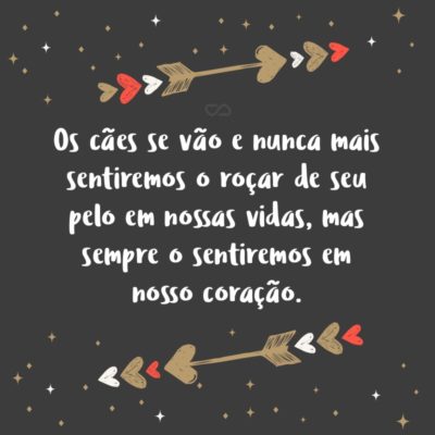 Frase de Amor - Os cães se vão e nunca mais sentiremos o roçar de seu pelo em nossas vidas, mas sempre o sentiremos em nosso coração.