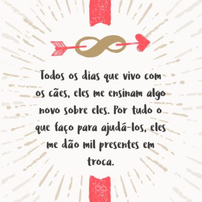 Frase de Amor - Todos os dias que vivo com os cães, eles me ensinam algo novo sobre eles. Por tudo o que faço para ajudá-los, eles me dão mil presentes em troca.