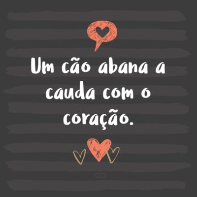 Frase de Amor - Um cão abana a cauda com o coração.