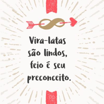 Frase de Amor - Vira-latas são lindos, feio é seu preconceito.