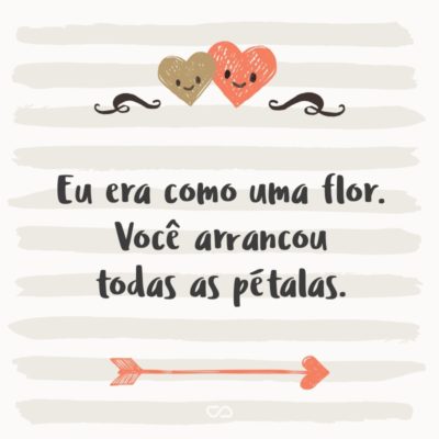 Frase de Amor - Eu era como uma flor. Você arrancou todas as pétalas.